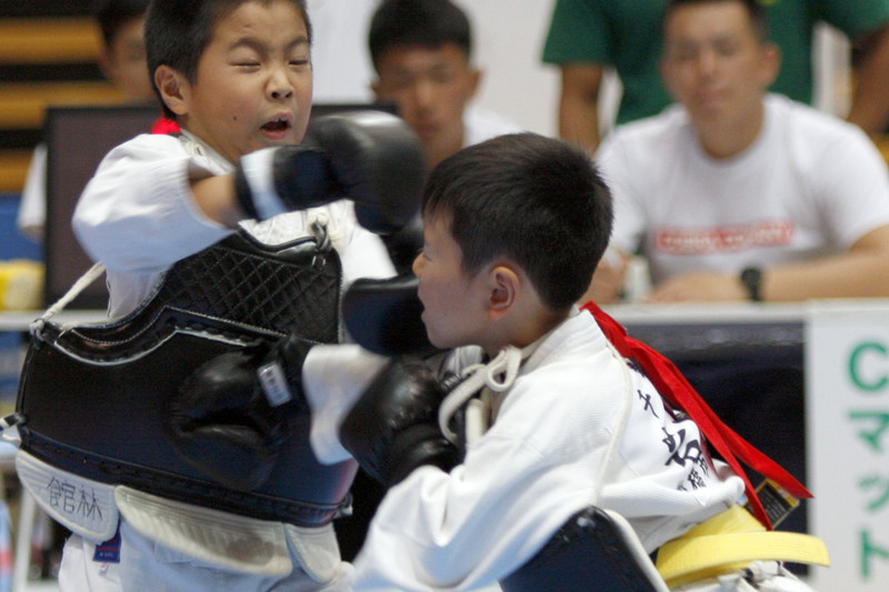 平成28年度“日本拳法夏の祭典”日本拳法全国選抜社会人選手権 撮影：Inno
_MG_8426.JPG