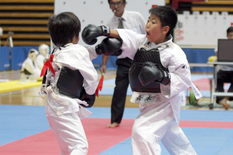平成28年度“日本拳法夏の祭典”日本拳法全国選抜社会人選手権 撮影：Inno
_MG_9198.JPG