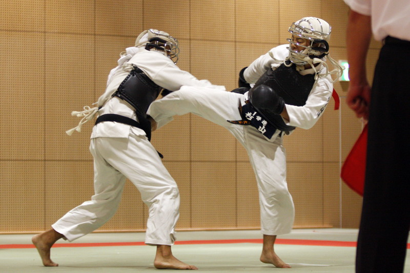 第4回東京都日本拳法選手権大会 
_MG_3586.JPG