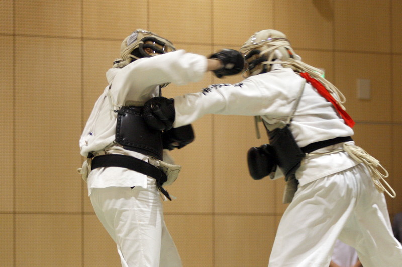 第4回東京都日本拳法選手権大会 
_MG_4540.JPG