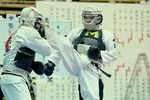 日本拳法第31回全国大学選抜選手権大会
