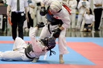 矢野杯争奪日本拳法第31回東日本学生個人選手権大会

