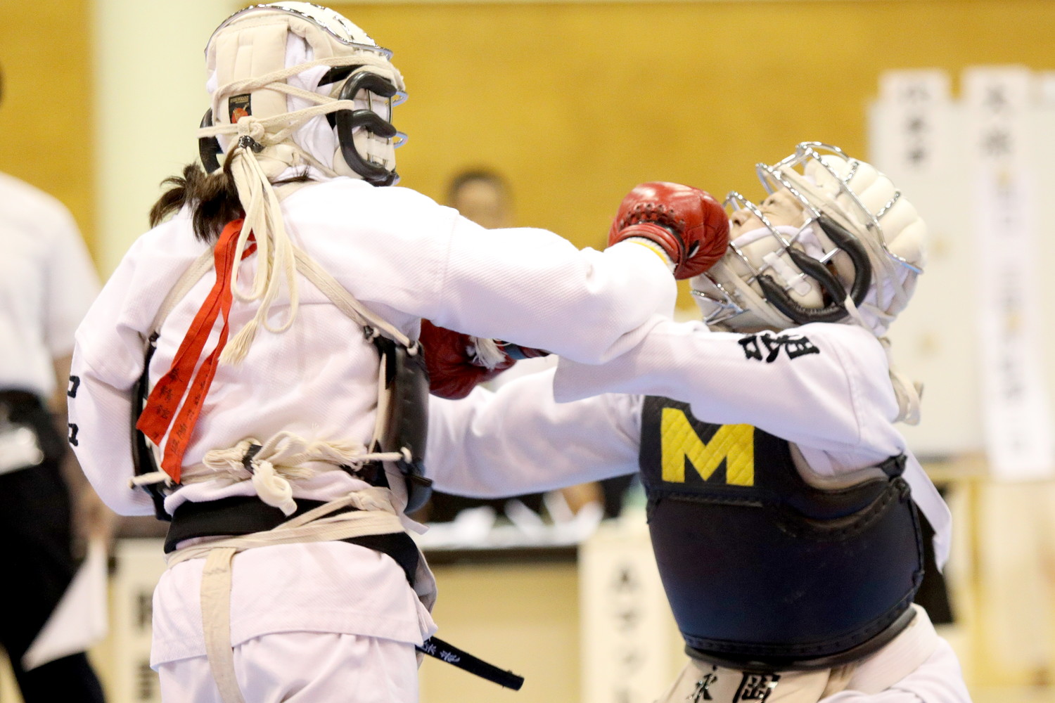 日本拳法第32回東日本大学リーグ戦 
E5D_4088.JPG