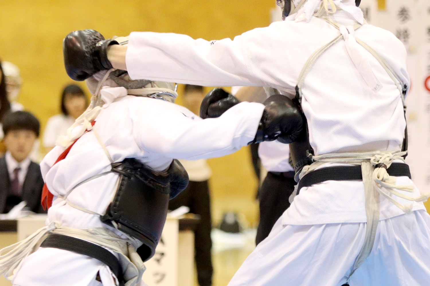 日本拳法第32回東日本大学リーグ戦 
E5D_4700.JPG