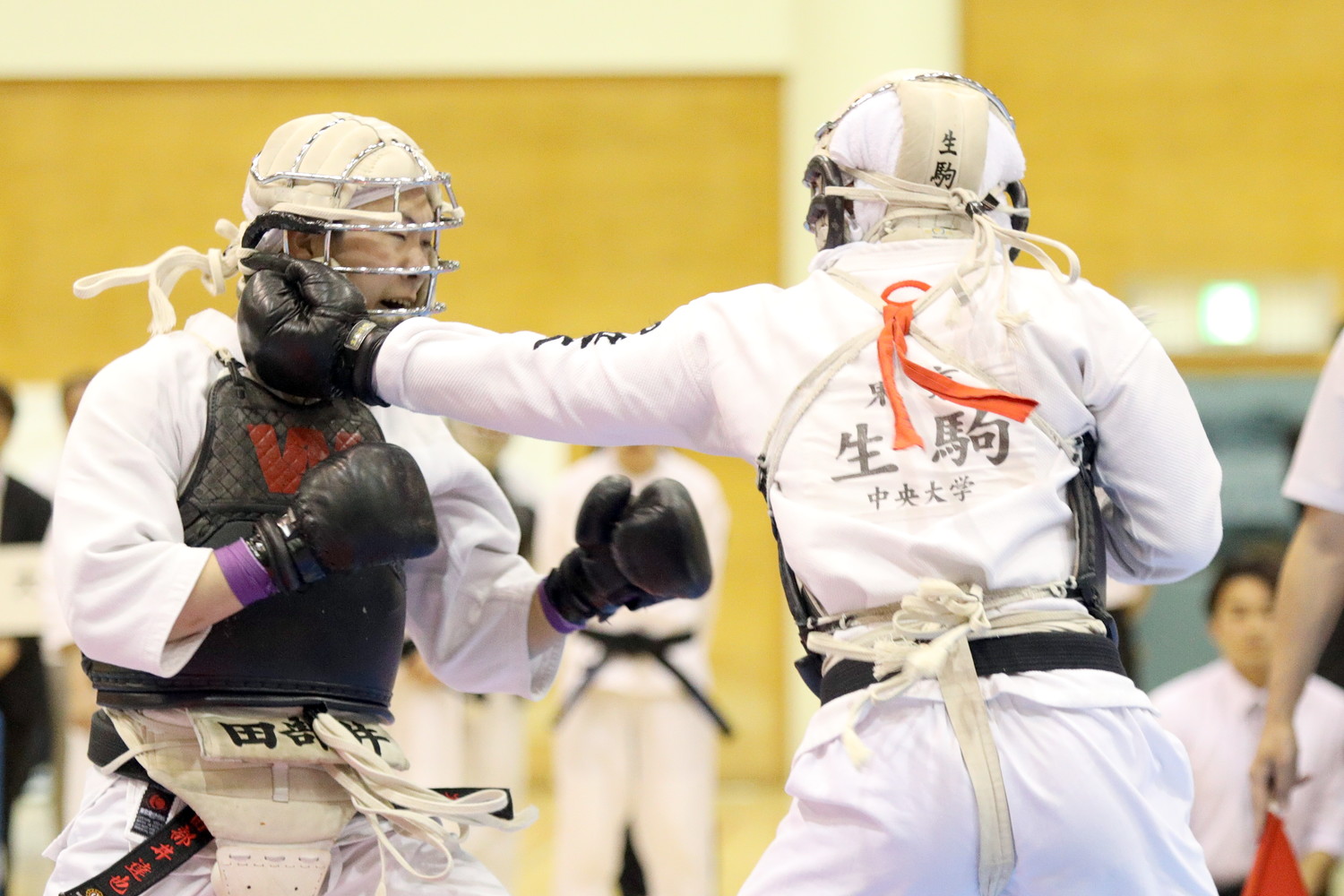 日本拳法第32回東日本大学リーグ戦 
E5D_5775.JPG