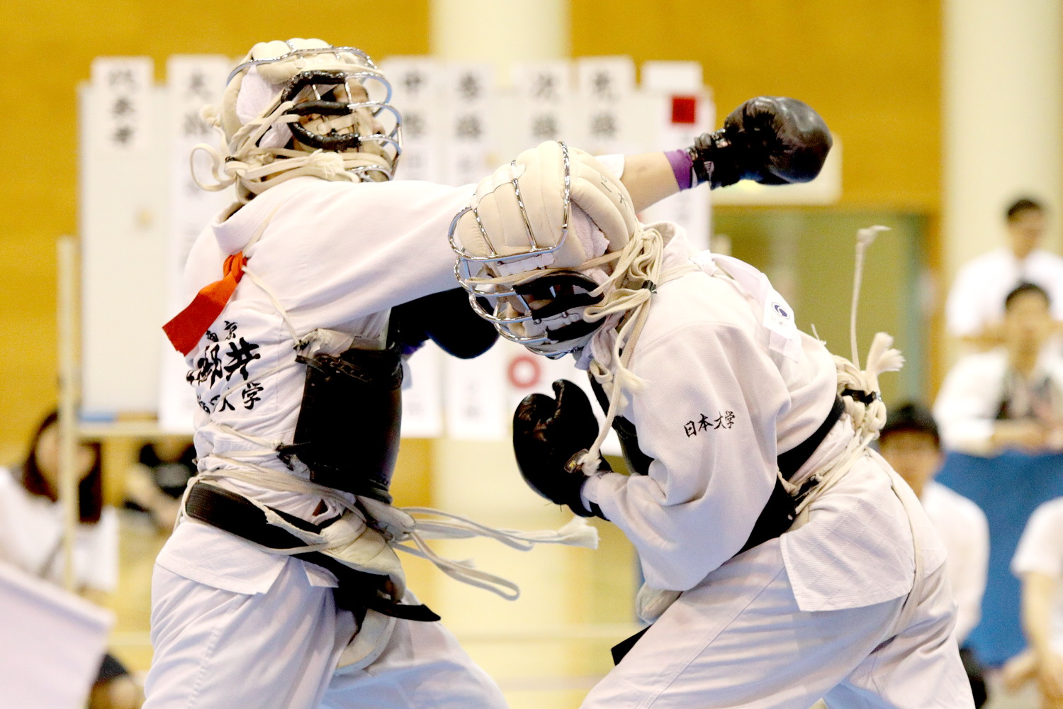 日本拳法第32回東日本大学リーグ戦 
E5D_7531.JPG