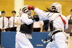 日本拳法第32回東日本大学リーグ戦
