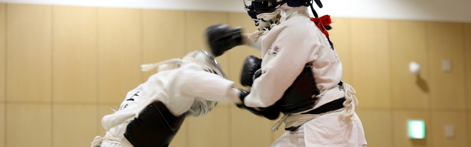 日本拳法連盟 公式ウェブサイト