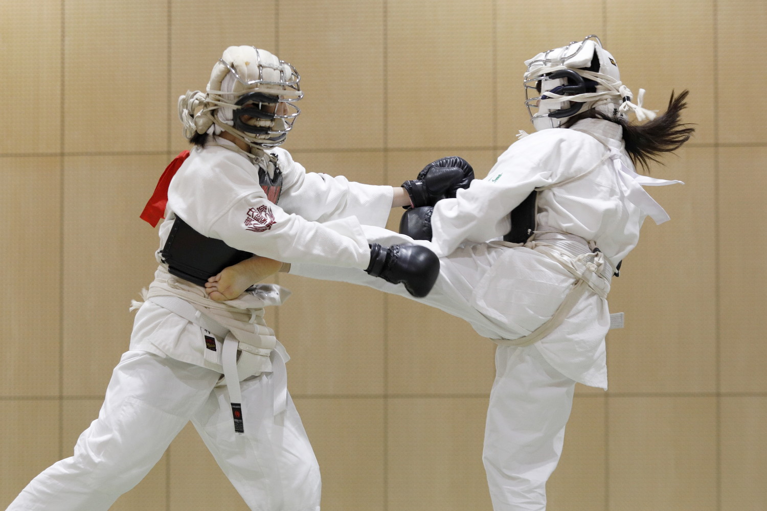 第10回東京都日本拳法選手権大会 撮影：Inno
_5D_0152.JPG