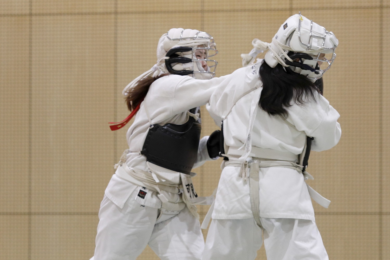 第10回東京都日本拳法選手権大会 撮影：Inno
_5D_0317.JPG