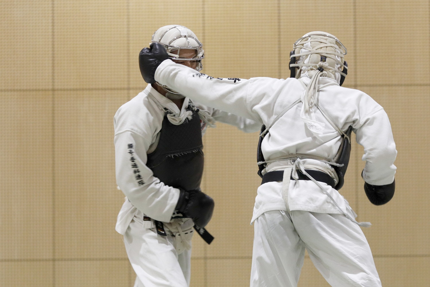 第10回東京都日本拳法選手権大会 撮影：Inno
_5D_1280.JPG