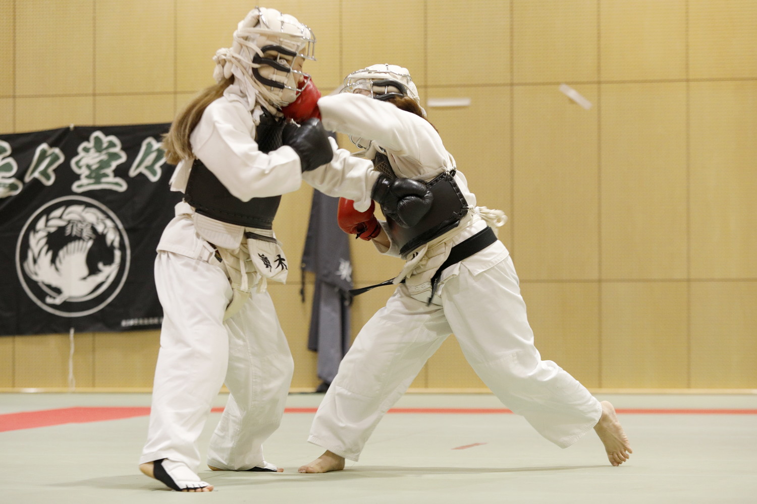 第10回東京都日本拳法選手権大会 撮影：Inno
_5D_2486.JPG