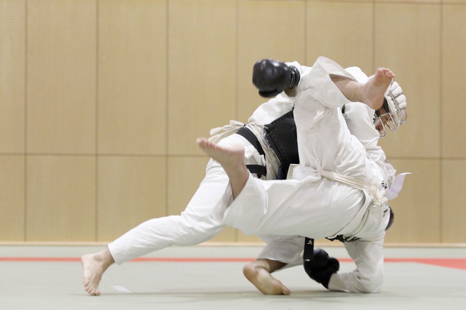 第10回東京都日本拳法選手権大会 撮影：Inno
_5D_4292.JPG