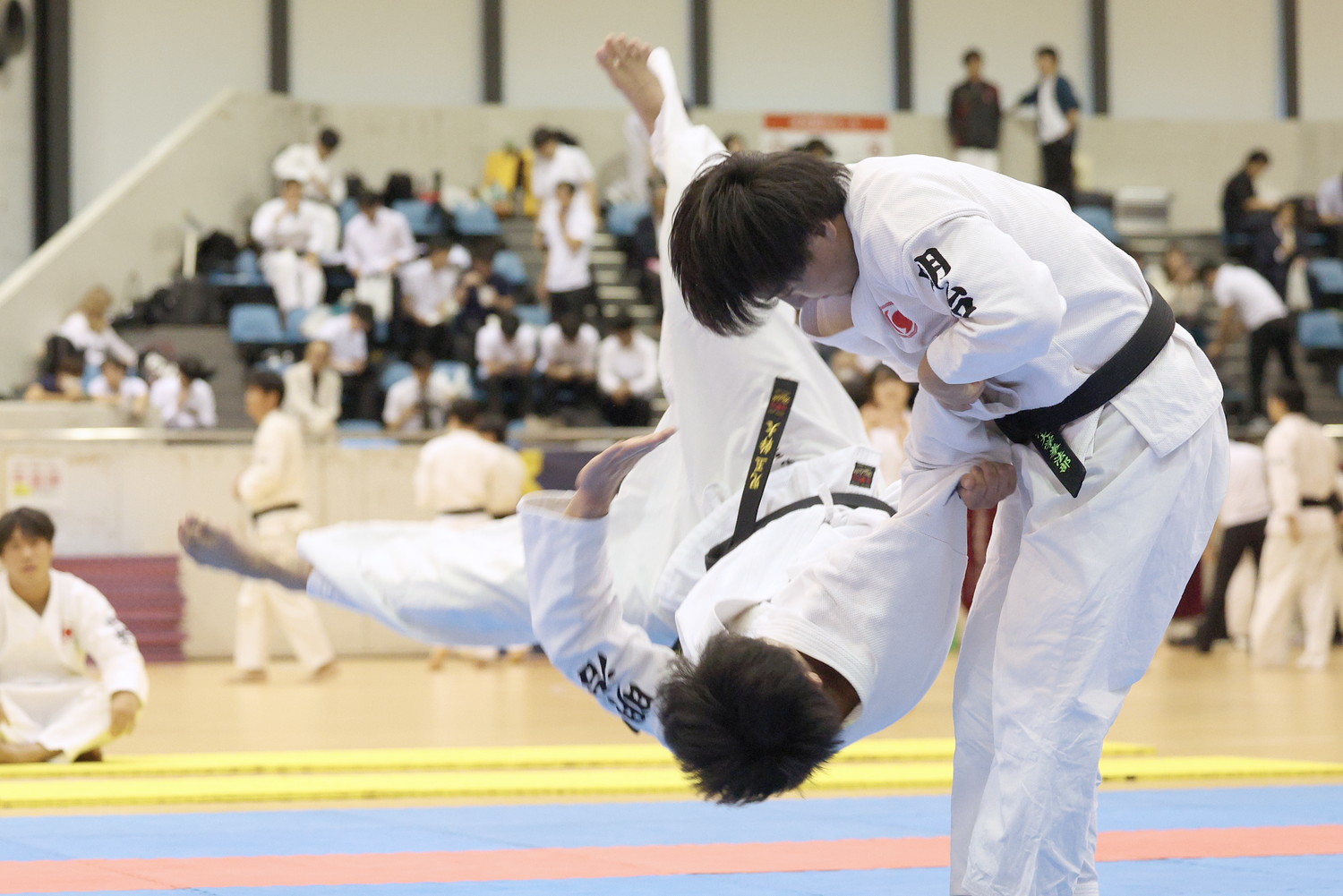 日本拳法第36回東日本大学選手権大会 形の部　二人形　明治大学・牧野　来虎・児玉　幹太　組
R52_2105.JPG
